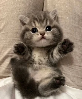 🥰