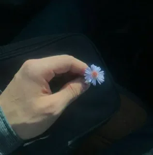 🌸