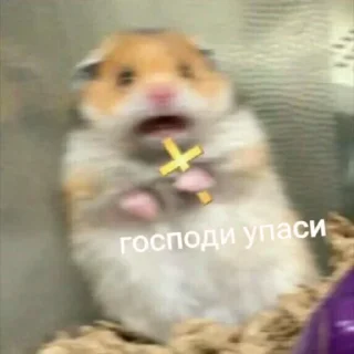 ✝