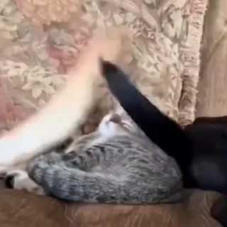 😓