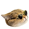 Laksheri_realkotaksheri