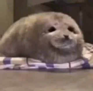 ☺️