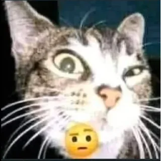 🤨