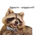 👋