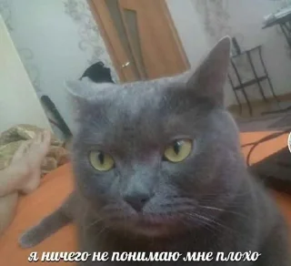 😕