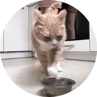 😠