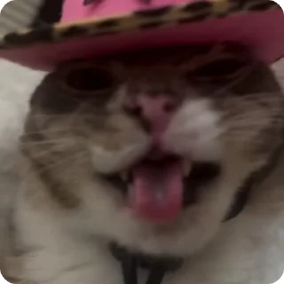 🤠