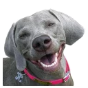 😃