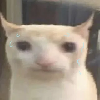 😳