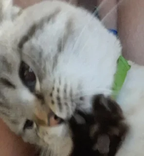 ❤️