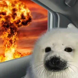 💥