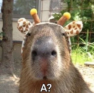 🤨