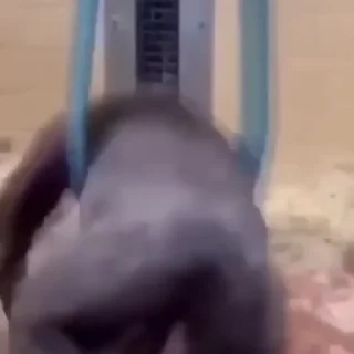 🥳