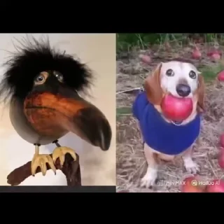 🪐
