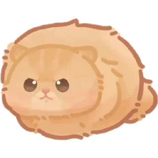 😾