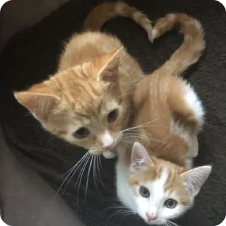 ❤️