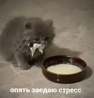 🥺