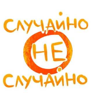 🪡