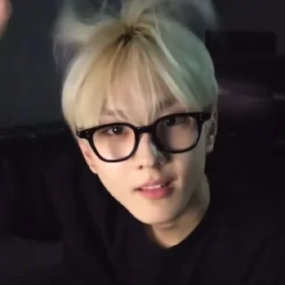 🐈