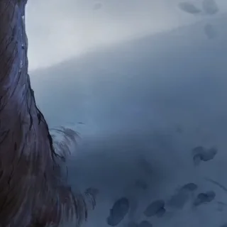 🦊