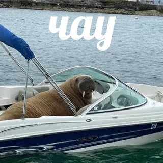 👋