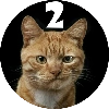 Pishi 2 - @Stickerabad