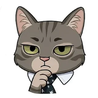🐱