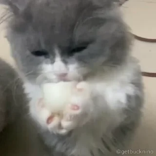 🤤