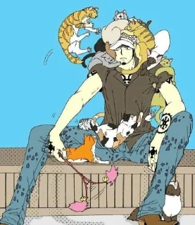 🐈