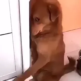 😁