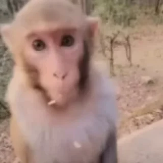 😶