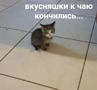 😭