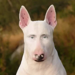 👀