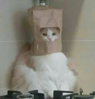 😶