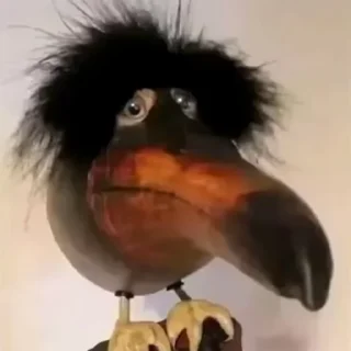 🤪