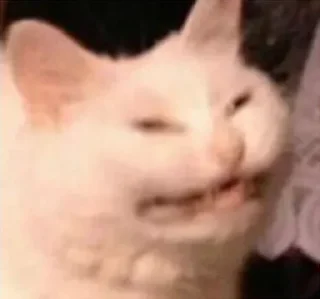 😩