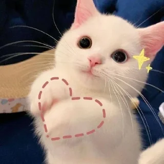 ❤️