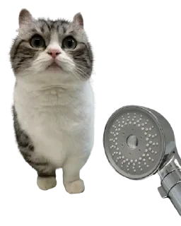 😺