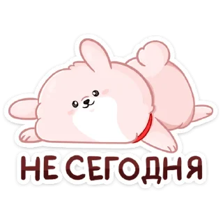 😴