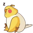 😴