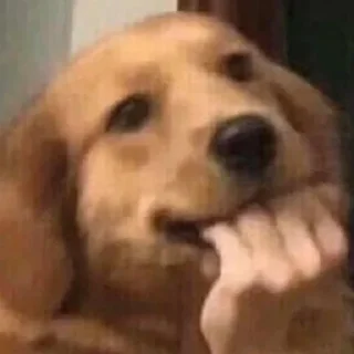 🤔