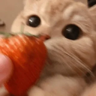 🍓
