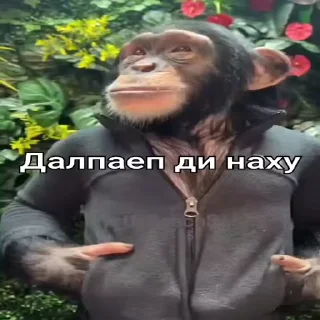 😎