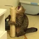 😫