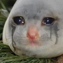 😭