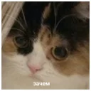 😕