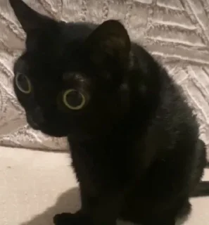 😶