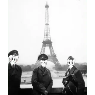 🇫🇷