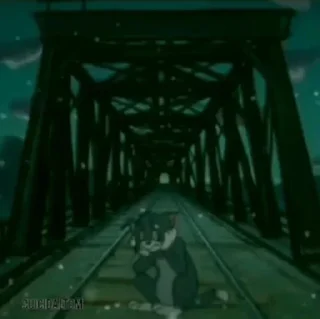 🕸
