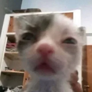 😩